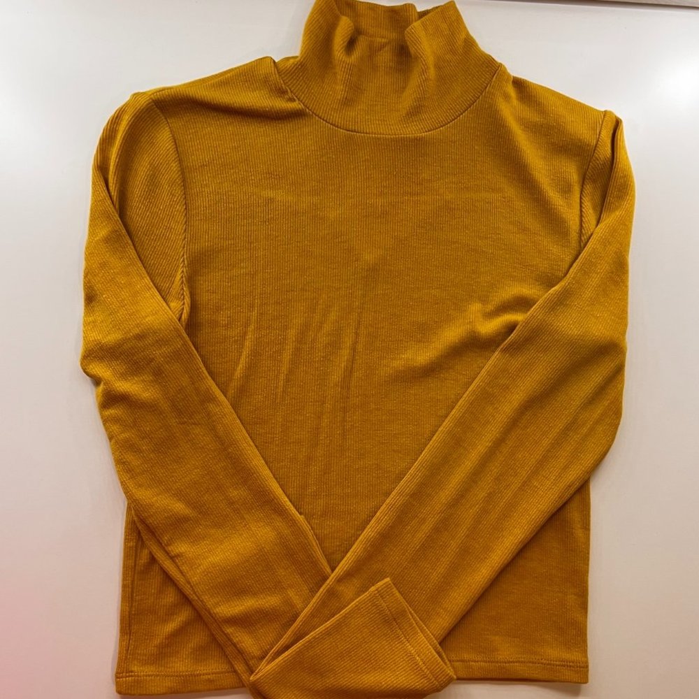 Wilfred Long Sleeve Turtle Neck